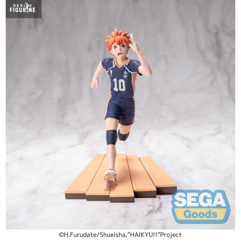 Figurine Shoyo Hinata High Premium