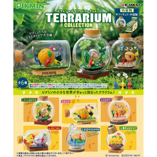 Pack Complet Terrarium