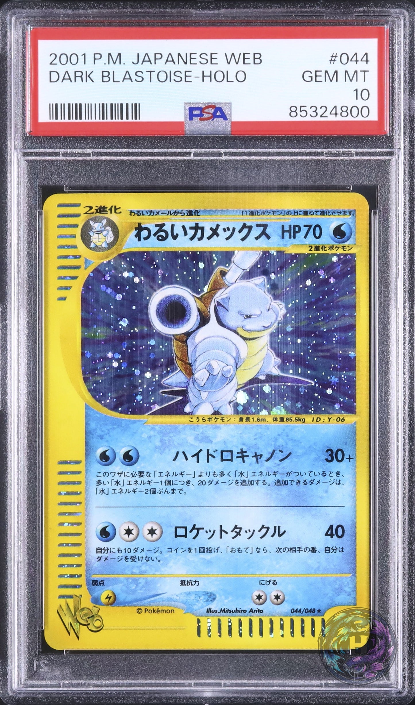 2001 Pokemon Japanese Dark Blastoise Rare Holo Web #044